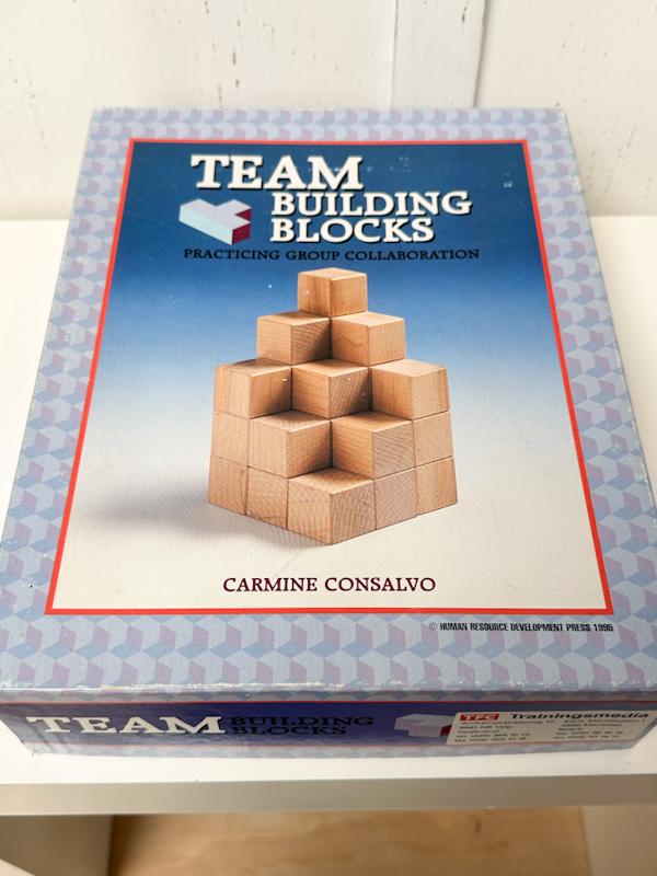 Team Building Blocks | compleet met boek