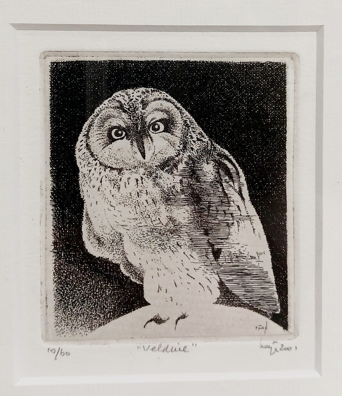 Vintage "Ets van velduil" in lijst gesigneerd - Afbeelding 4